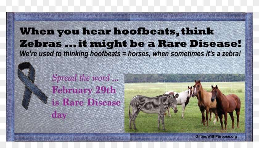 Zebra Is - Zebra Clipart #2923468