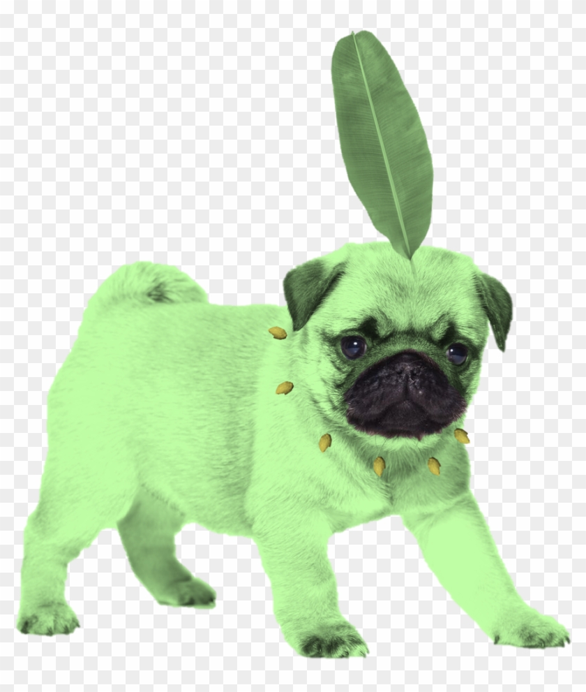 Pug Sticker Redbubble , Png Download - Imágenes De Perros Pug Para Fondo De Pantalla Clipart #2927217