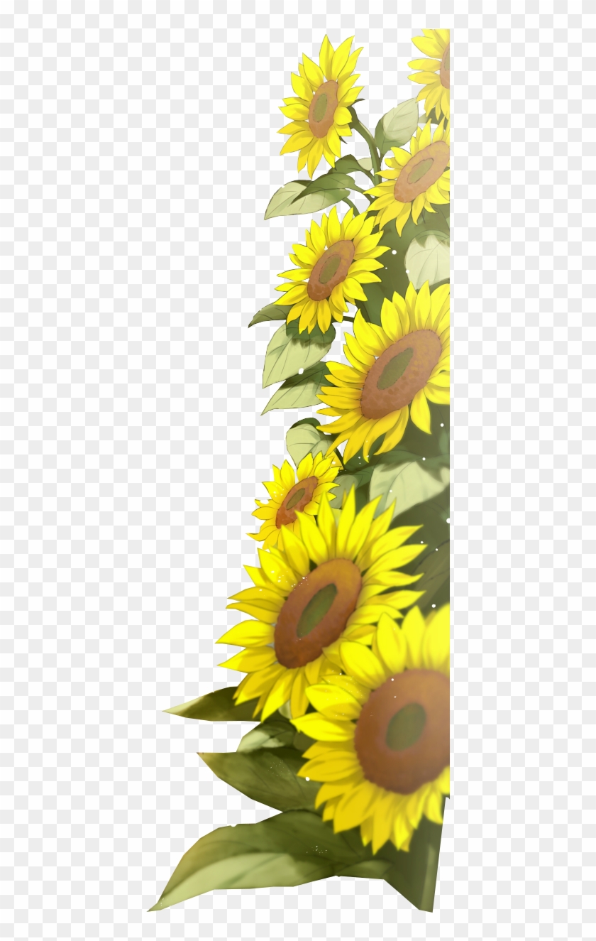 Sunflower Images Clip Art Sunflower Png, Sunflower - Portable Network Graphics Transparent Png #2927413