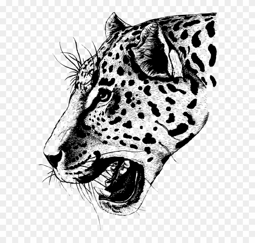 Source - Pluspng - Com - Report - Leopard Print Tattoo - Face Black Leopard Png Clipart