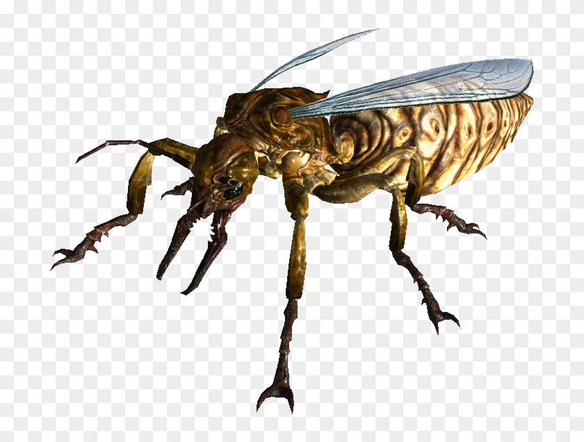Image Giant Ant Png Non Alien Creatures - Giant Ant Dnd 5e Clipart