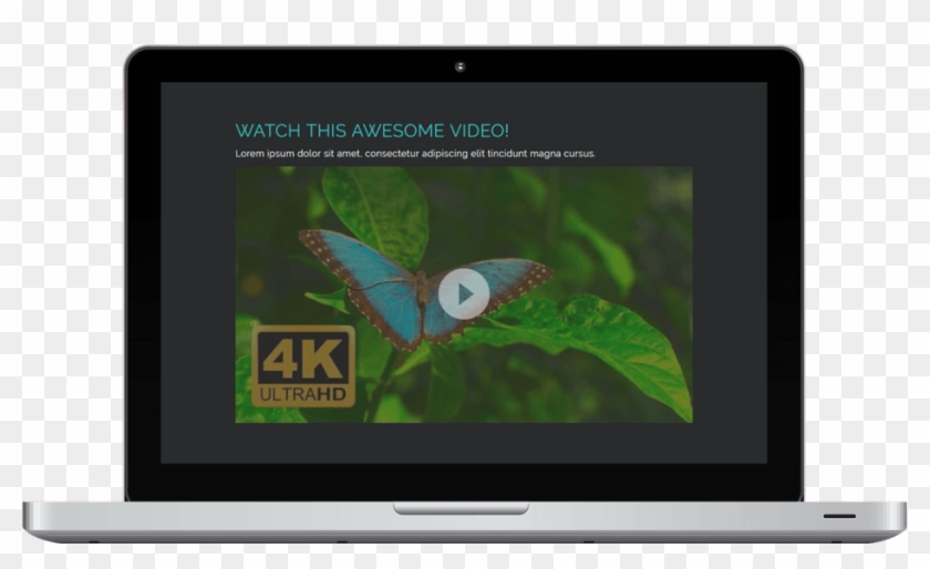 This Is How Your Video Could Look Like With No Boss - Led-backlit Lcd Display Clipart #2928161