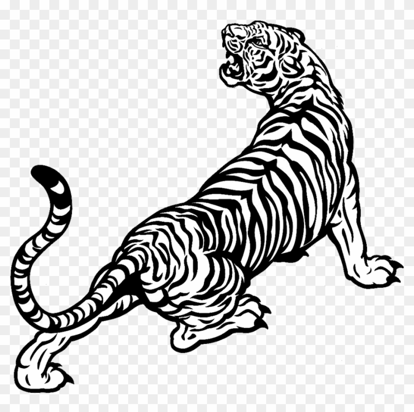 Drawing Cats Tiger - White Tiger Vector Png Clipart