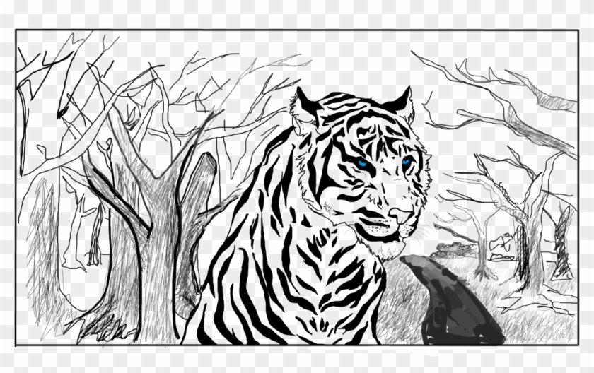 Drawn White Tiger Transparent - Draw A White Tiger Clipart