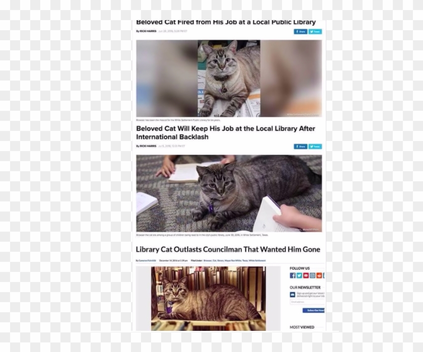 Cat Gets Fired, Hired And Outlasts Hater - Cat Fired From Library Clipart