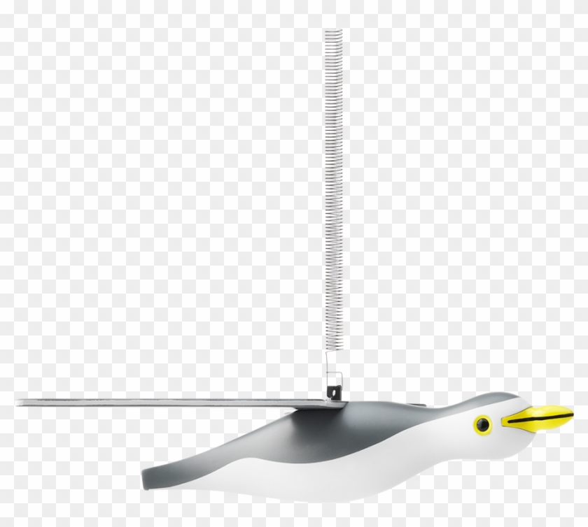 Seagull Large Grey White - Ceiling Clipart