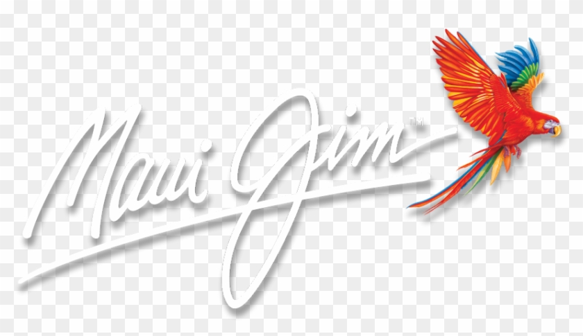 Graphic Design Clipart