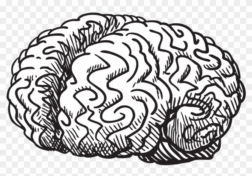 Vector Brain Doodle - Brain Sketch Clipart
