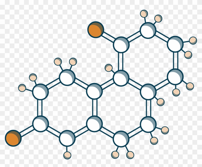 Maui, Lahaina, Cream, Text, Circle Png Image With Transparent Clipart