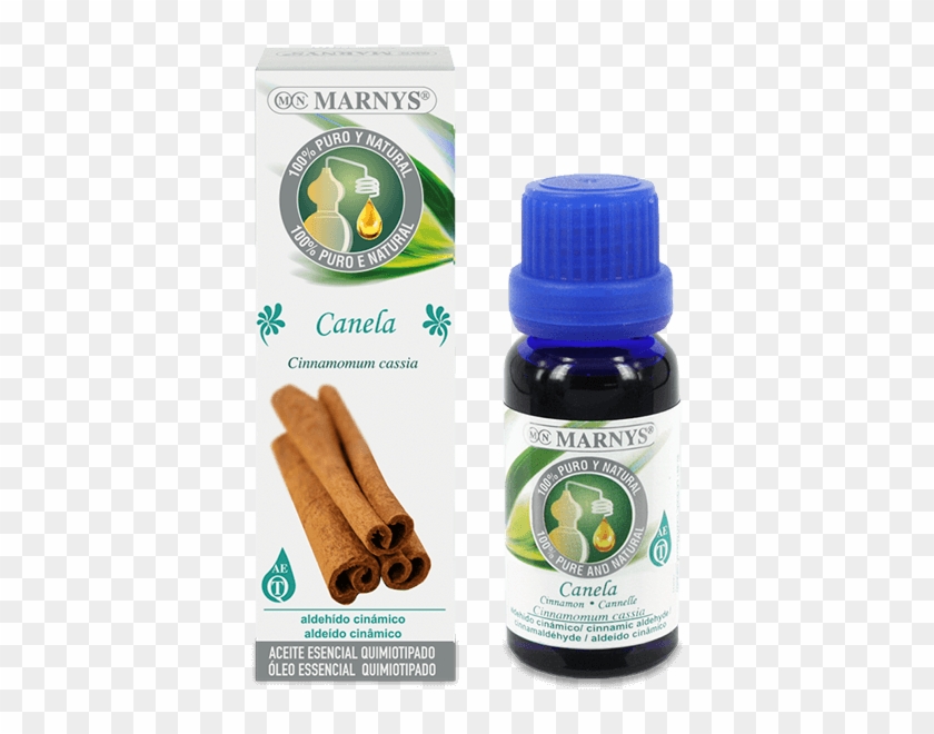 Cinnamon Essential Oil - Aceite Esencial Arbol De Te Marnys Clipart #2930599