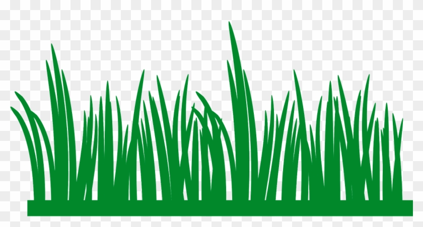 Grass Lawn Green Field Meadow Png Image - Grama Desenho Clipart #2931413