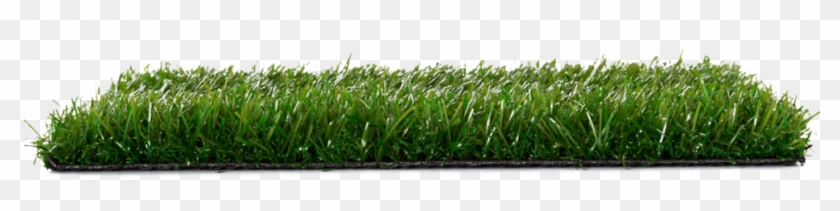 Erba - Lawn Clipart