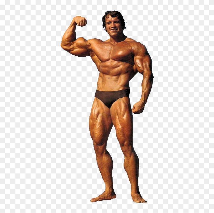 Arnold Schwarzenegger - Arnold Schwarzenegger Quads Clipart #2931559