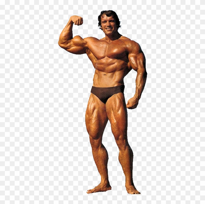 Arnold Schwarzenegger - Arnold Schwarzenegger Quads Clipart