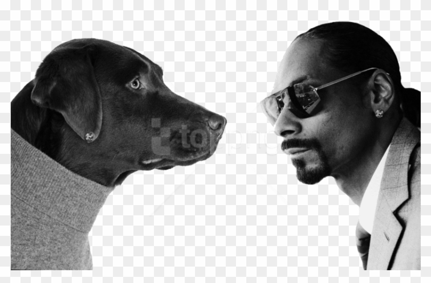 Free Png Snoop Dogg Png - Snoop Dogg Malice N Wonderland Back Cover Clipart #2931814