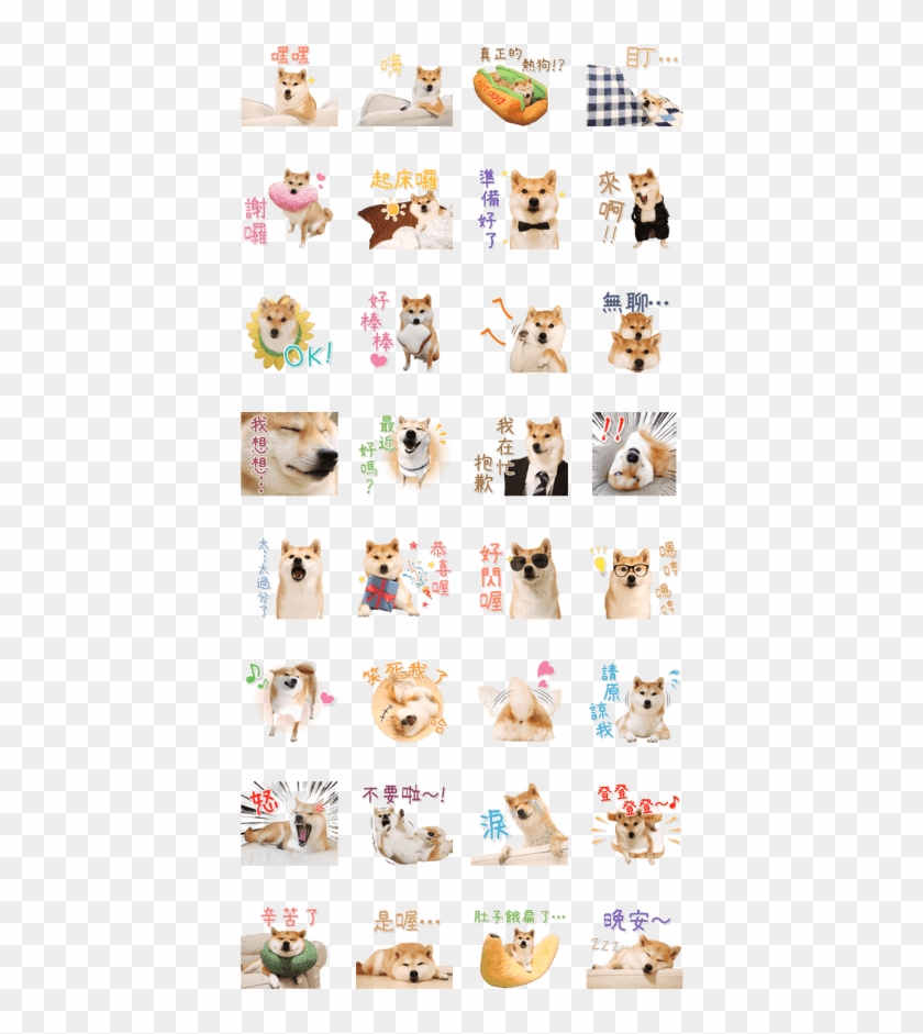 Shiba Inu Daifuku - Domestic Short-haired Cat Clipart