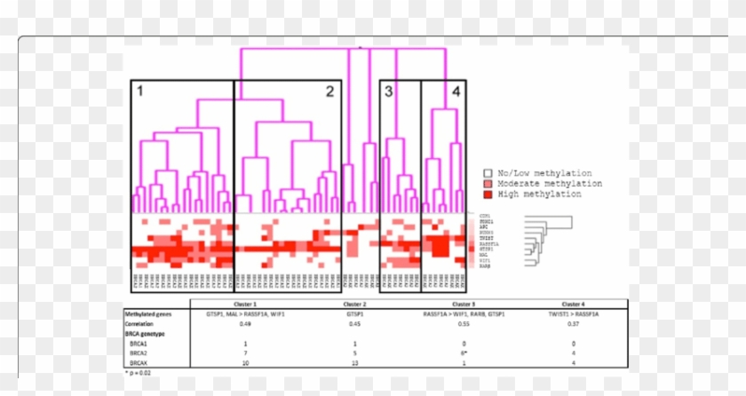 Unsupervised Cluster Analysis Of Methylation Amongst - Illustration Clipart #2933030