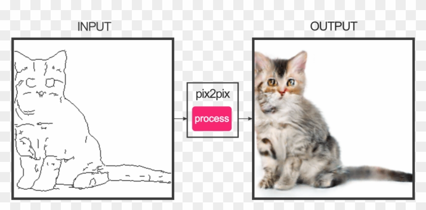 Peter Leimbigler On Twitter - Cat Clipart #2933334