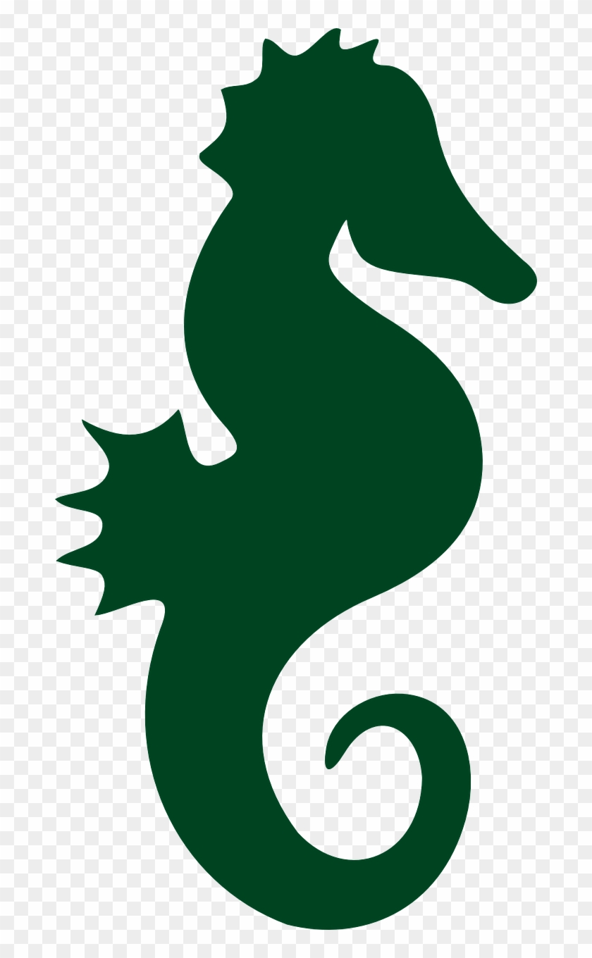 Seahorse Sea Horse Sea Life Png Image - Mermaid Seahorse Silhouette Clipart #2933579