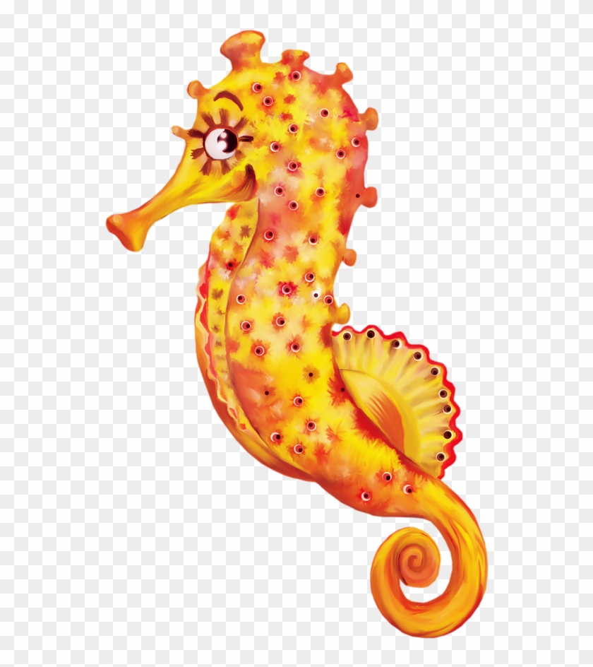 **✿*fauna Marina*✿** - Northern Seahorse Clipart