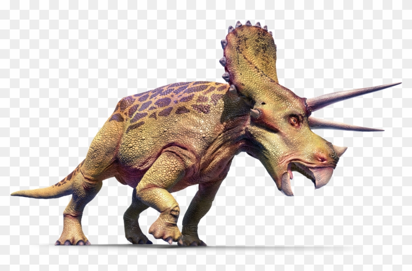 Triceratop Png Background Image - Firefly Encyclopedia Of Dinosaurs And Prehistoric Animals Clipart