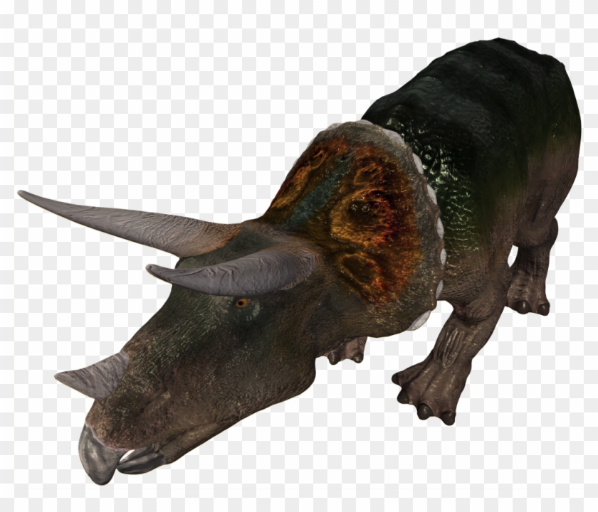 Triceratops B1 V1 E1424962798125 - Snout Clipart