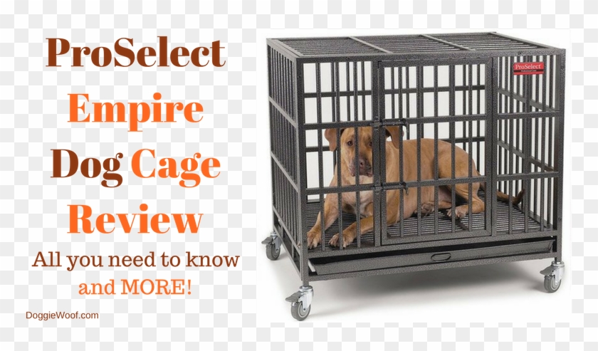 Heavy Duty Dog Crate - Pro Select Empire Dog Crate Clipart