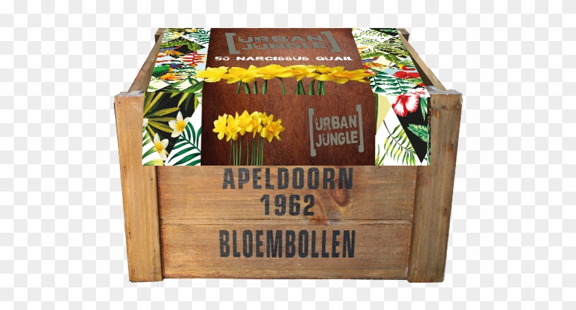 327209 Urban Jungle Crate Xl Def - Plywood Clipart