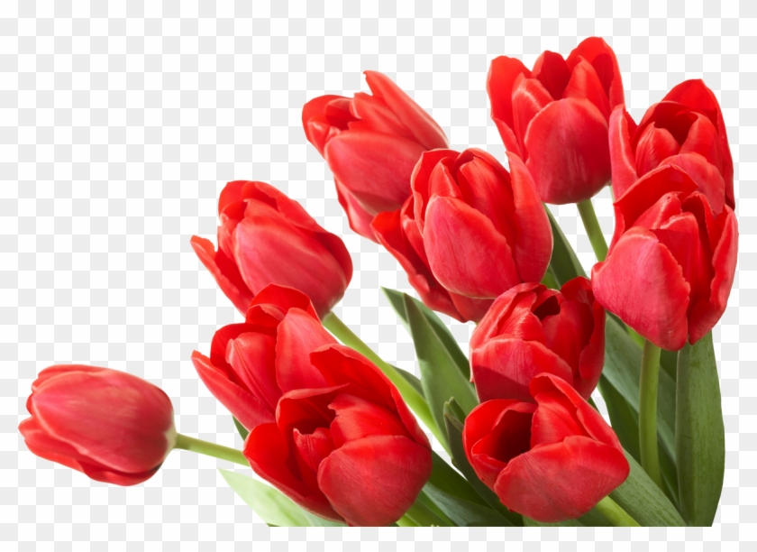 Bouquet Of Flowers Png Image Flower Desktop Wallpaper, - Trenčín Castle Clipart