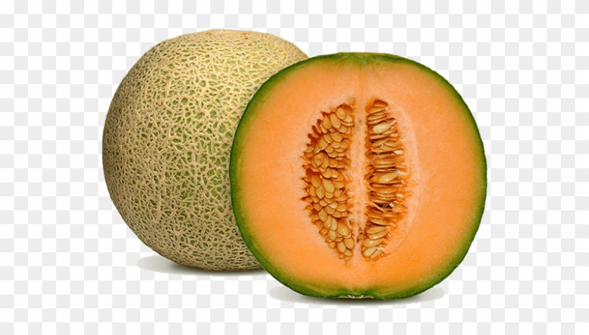 Mask Melon Fruit Clipart