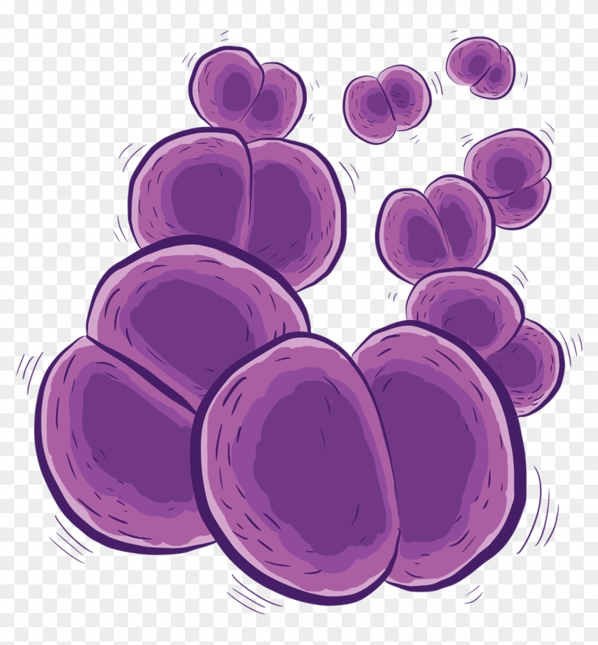 Bacteria Bacterium Png Image - Meningococo Png Clipart #2937586