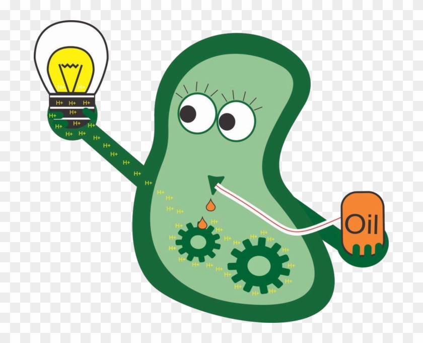 Bacteria Clipart Clip Art - Bacteria With Transparent Background - Png Download #2937799