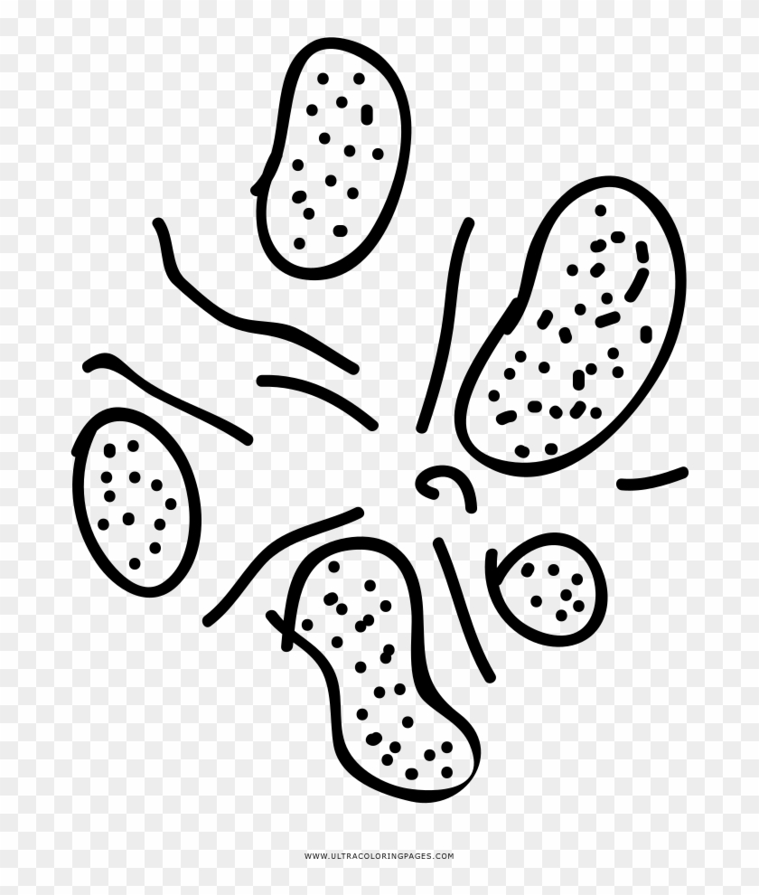 Bacteria, Drawing, Coloring Book, Monochrome Photography, - Dibujo De Bacterias Para Colorear Clipart