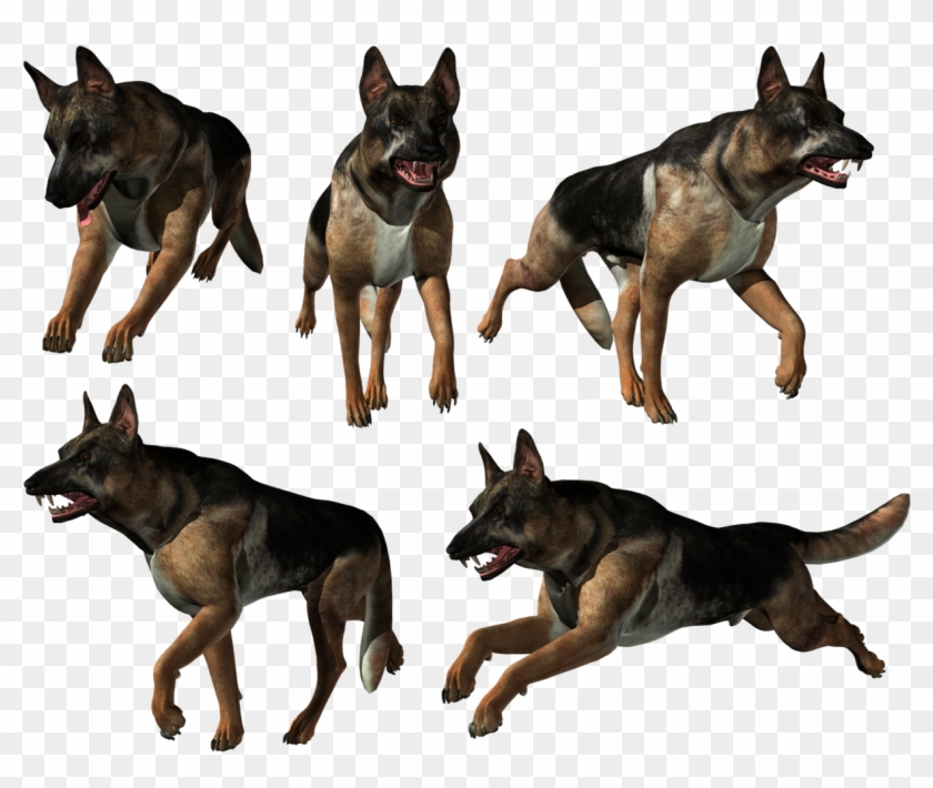 Old German Shepherd Dog Clipart