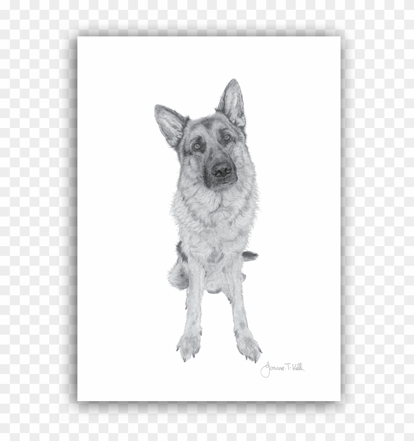 German Shepherd Greeting Card - Old German Shepherd Dog Clipart