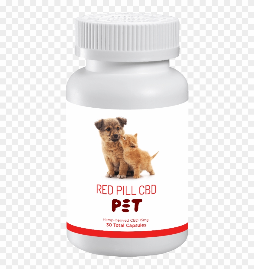 Companion Dog Clipart