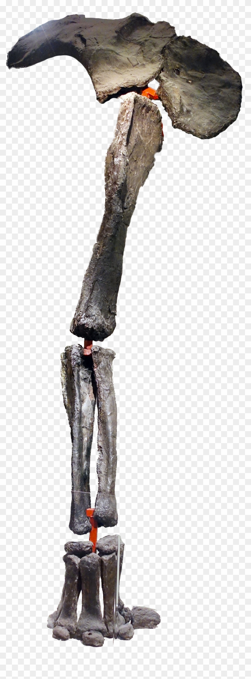 Dinosaur Leg - Icicle Clipart