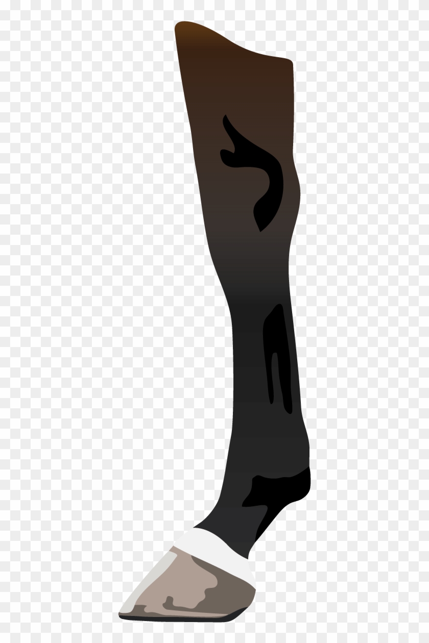 Leg Markings Are Described By How Far Up The Leg The - Horse Leg Png Clipart #2938612