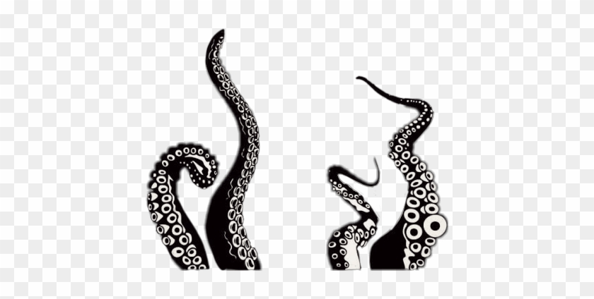 #scoctopus #octopus #blackandwhite #tentacles - Transparent Background Tentacles Png Clipart #2940005