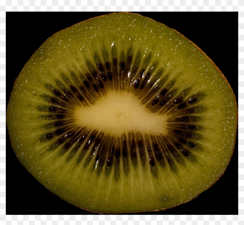 Kiwifruit Clipart