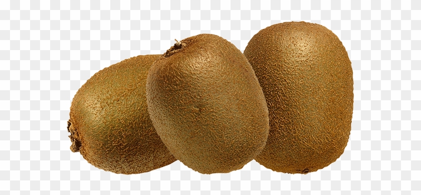 Kiwifruit Clipart #2941876