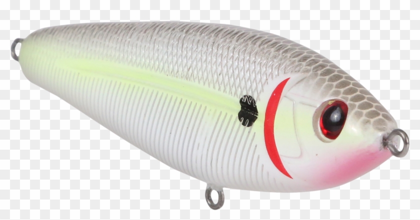 Sand Eel Clipart #2942861