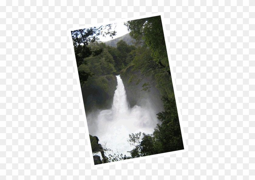 76k 3imagen3 28 Jun 2016 - Huilo Huilo Gif Clipart #2943789