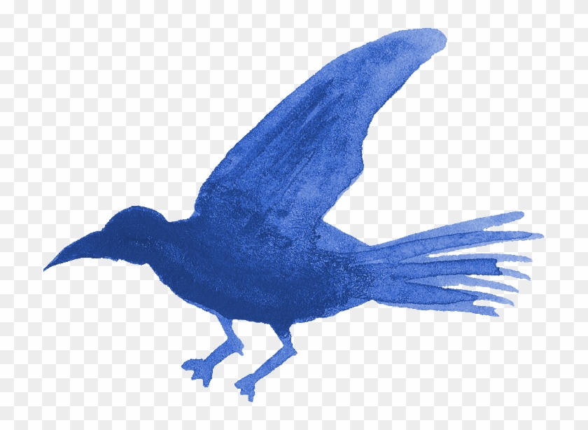 Free Download - Blue Jay Clipart #2946003
