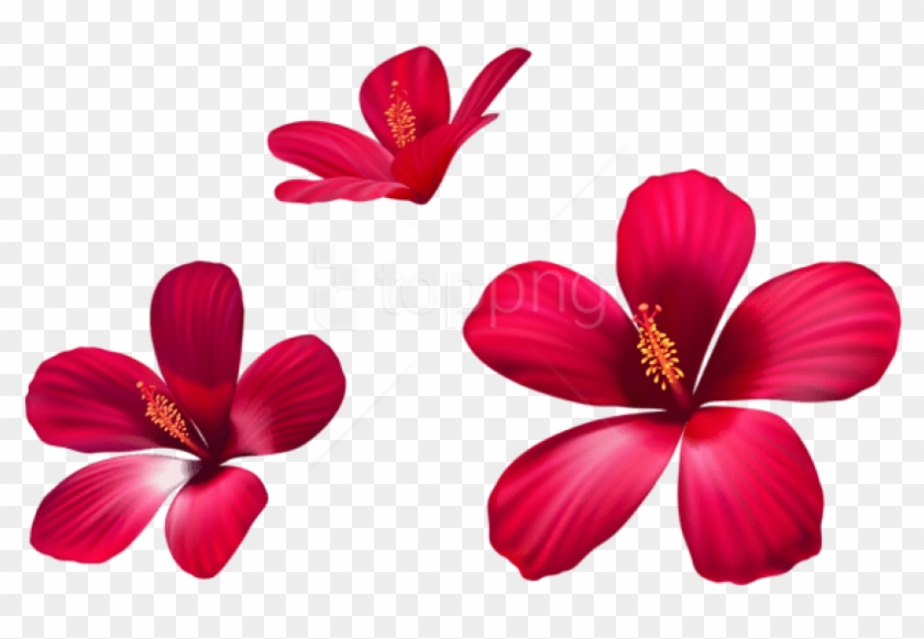 Free Png Download Exotic Pink Flowers Png Images Background - Small Pink Flowers Png Clipart