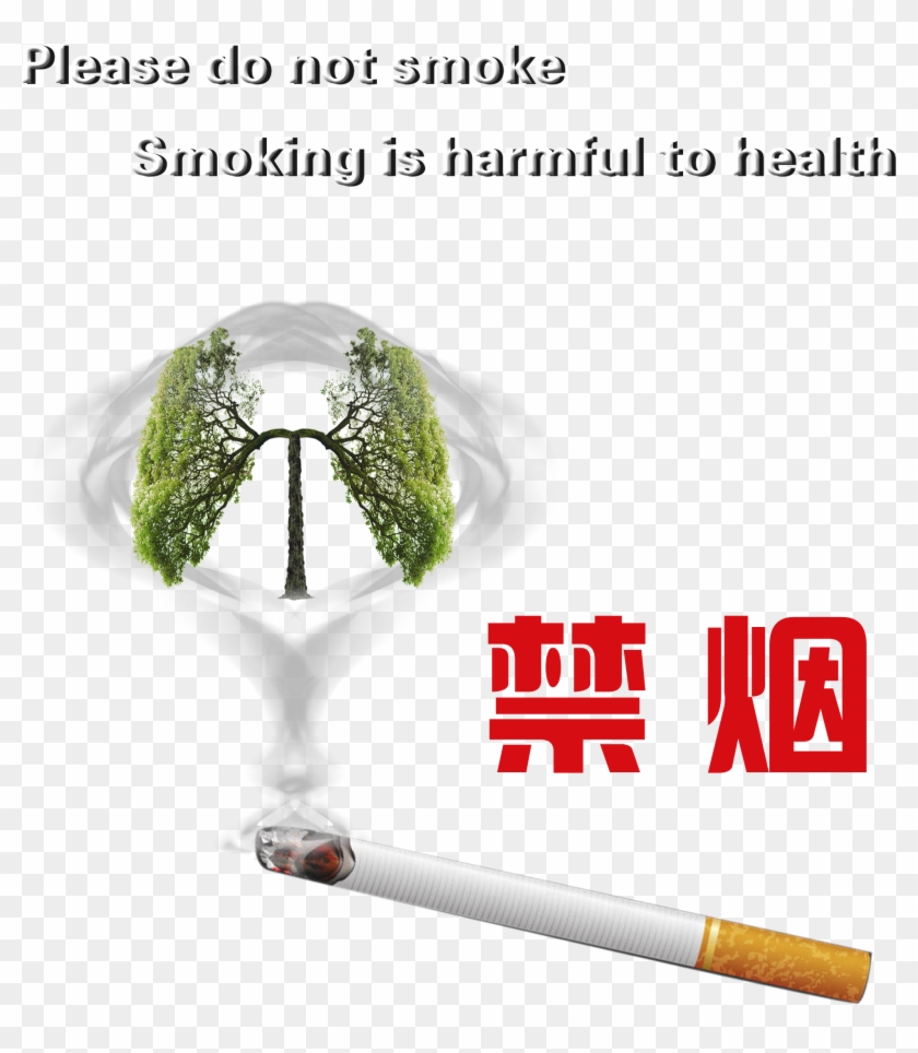 Smoking Cessation Smoking Harmful Health Protection - Ppt 戒菸 背景 Clipart