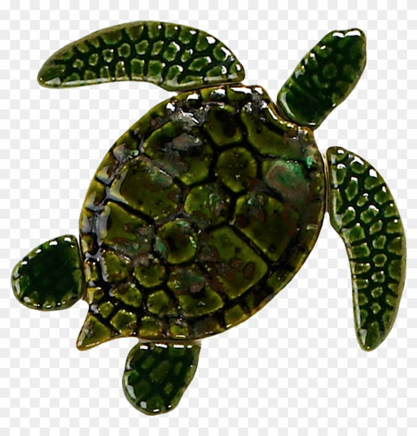 Green Sea Turtle Copy - Sea Turtle Baby Clipart