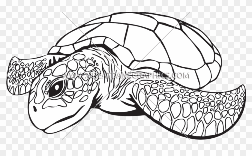 Clip Royalty Free Download Line Drawing At Getdrawings - Sea Turtle Line Art - Png Download #2951511