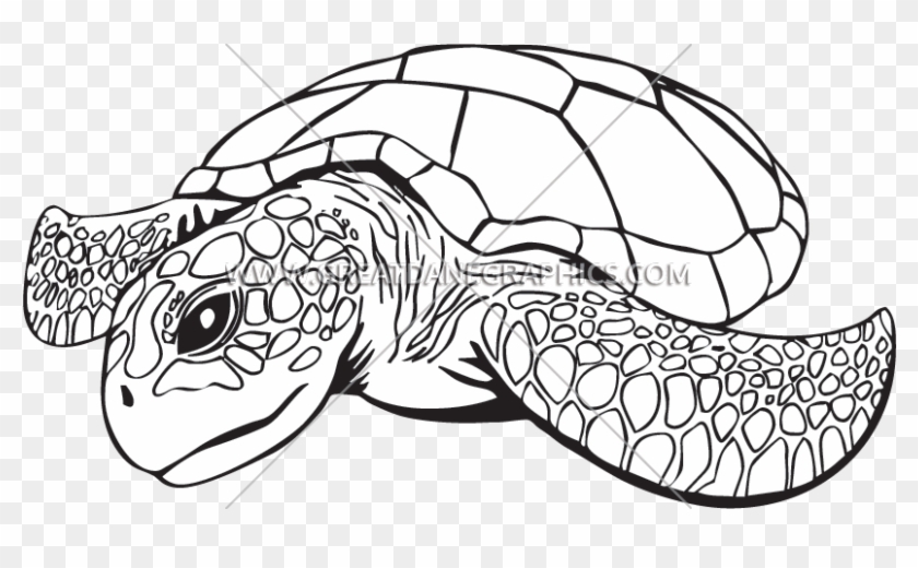 Clip Royalty Free Download Line Drawing At Getdrawings - Sea Turtle Line Art - Png Download