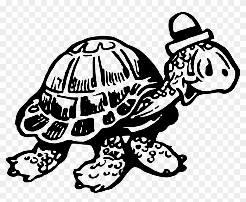 Tortoise Sea Turtle Computer Icons Drawing - Turtle Clipart #2951558
